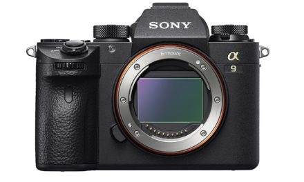 Starting New – A Full Sony A9 Camera Bag