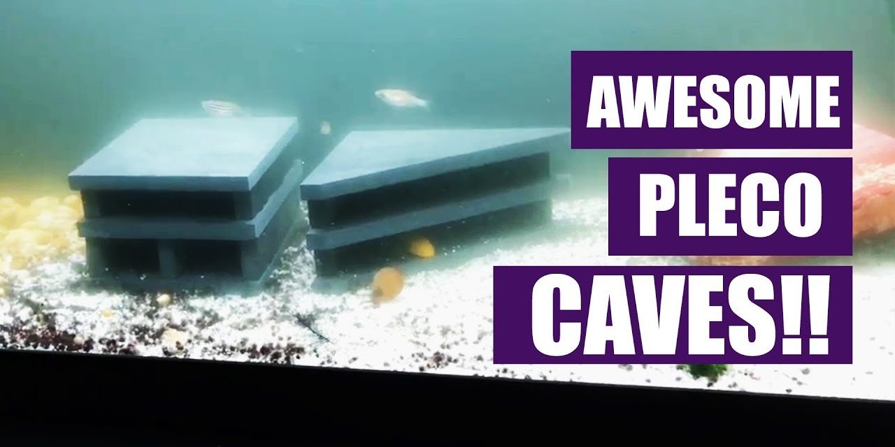 Awesome Pleco Caves | Pleco Breeding Caves!