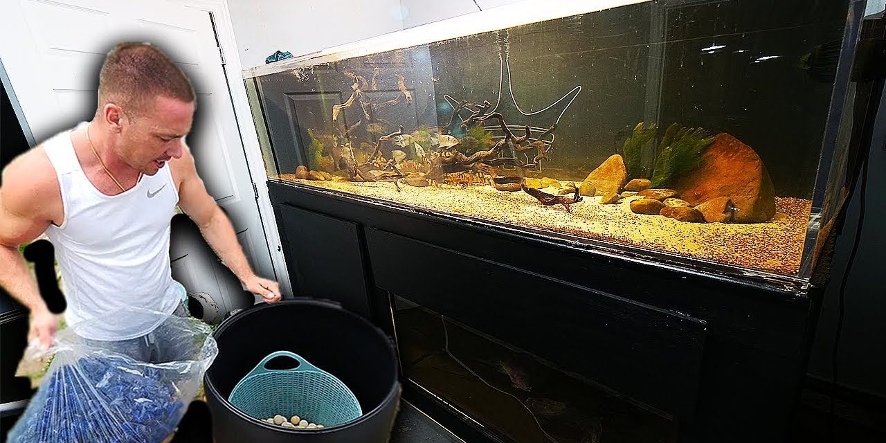 Large DIY aquarium filter for $50