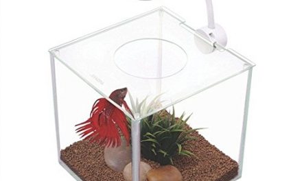 My Review Of The Marina CUBUS Glass Betta Kit