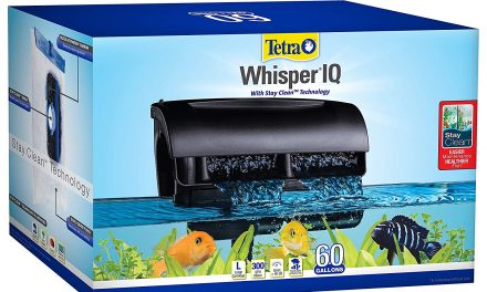 Whisper IQ Power Filter for Aquariums | REVIEW