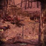 Insane Animal Spawning Bug – Fallout 76
