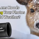 Are Lens Hoods Wrecking Your Photos In Cold Weather?
