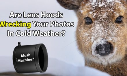 Are Lens Hoods Wrecking Your Photos In Cold Weather?